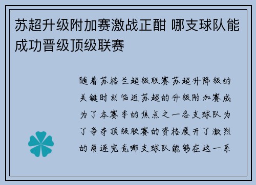 苏超升级附加赛激战正酣 哪支球队能成功晋级顶级联赛